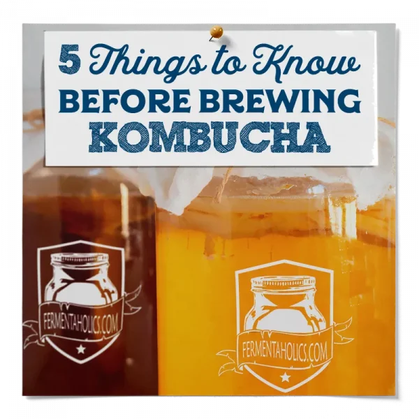 5 Things To Know Before Brewing Kombucha