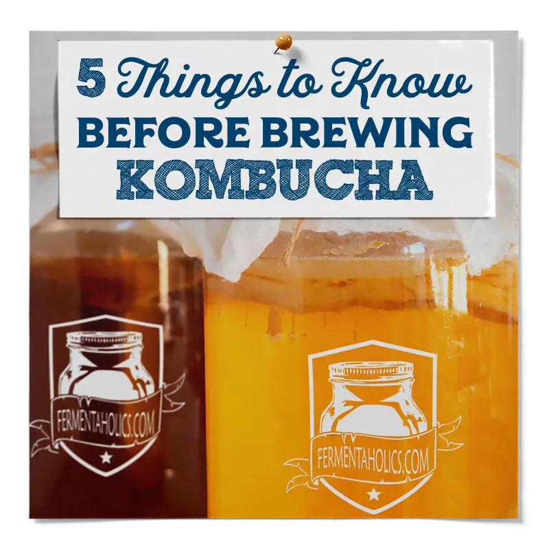 5 Things to Know Before Brewing Kombucha