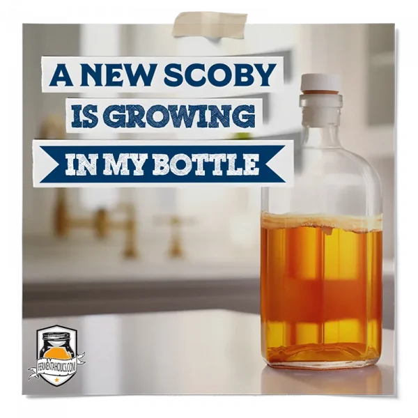 A New Scoby Is Growing In My Bottle