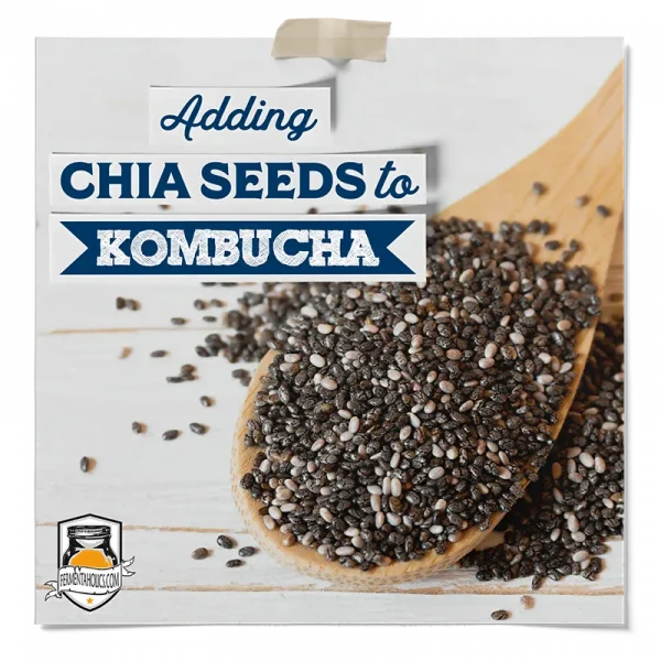 Adding Chia Seeds To Kombucha