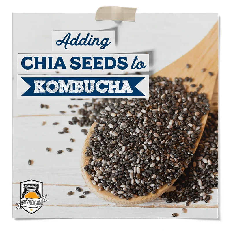 Adding Chia Seeds to Kombucha