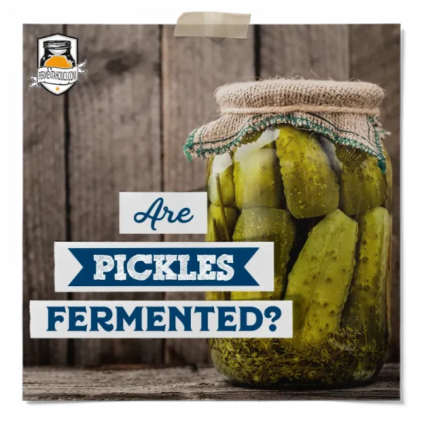 Are Pickles Fermented