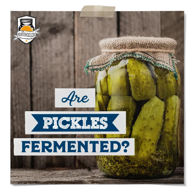 Are Pickles Fermented