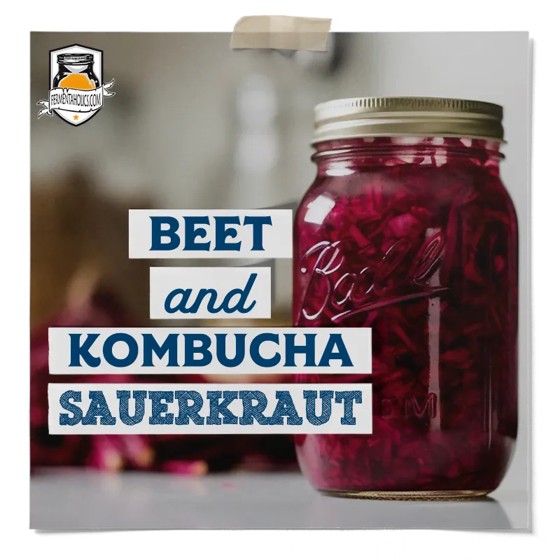 Beet and Kombucha Sauerkraut