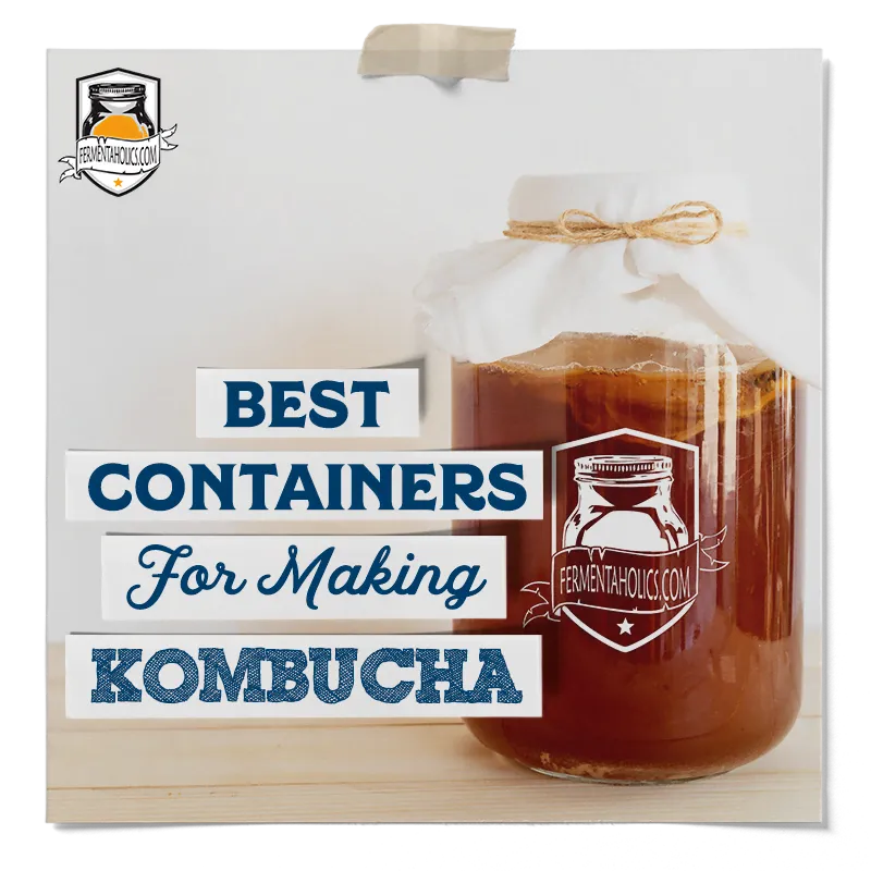 Best Containers For Making Kombucha