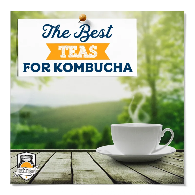 Best Teas For Kombucha