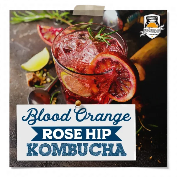 Blood Orange Rose Hip Kombucha