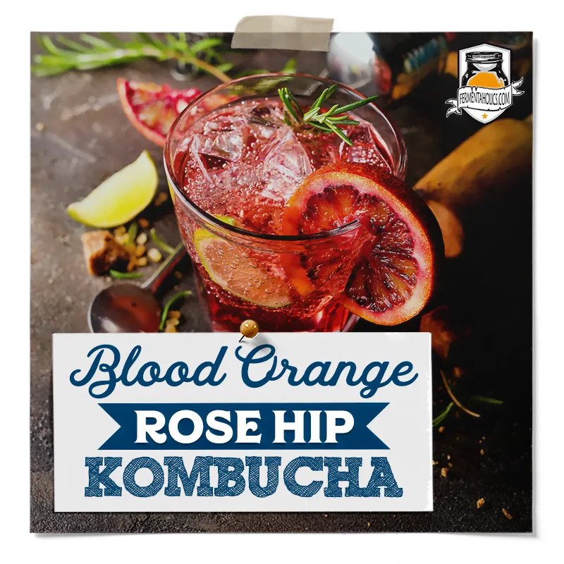 Blood Orange Rose Hip Kombucha