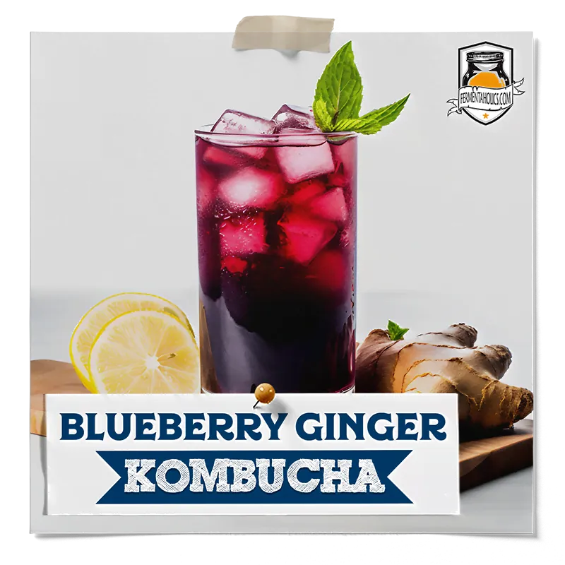 Blueberry Ginger Kombucha