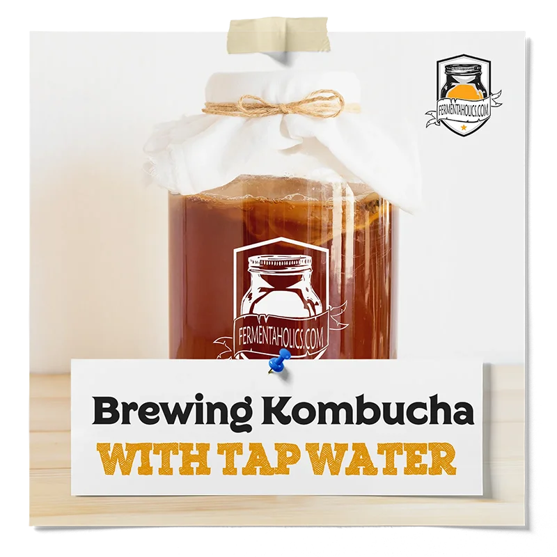 Brewing Kombucha With Tap Water