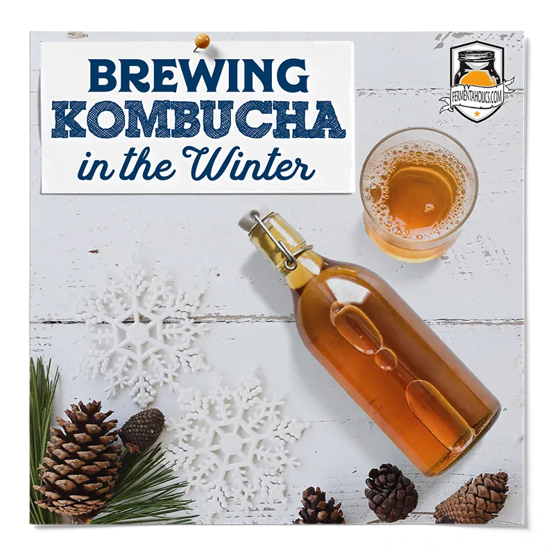 Brewing Kombucha in the Winter