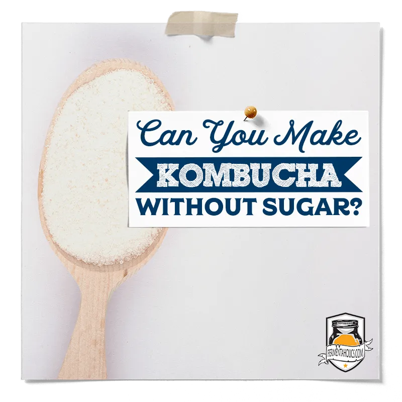 Can you Make Kombucha Without Sugar