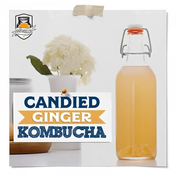 Candied Ginger Kombucha Recipe