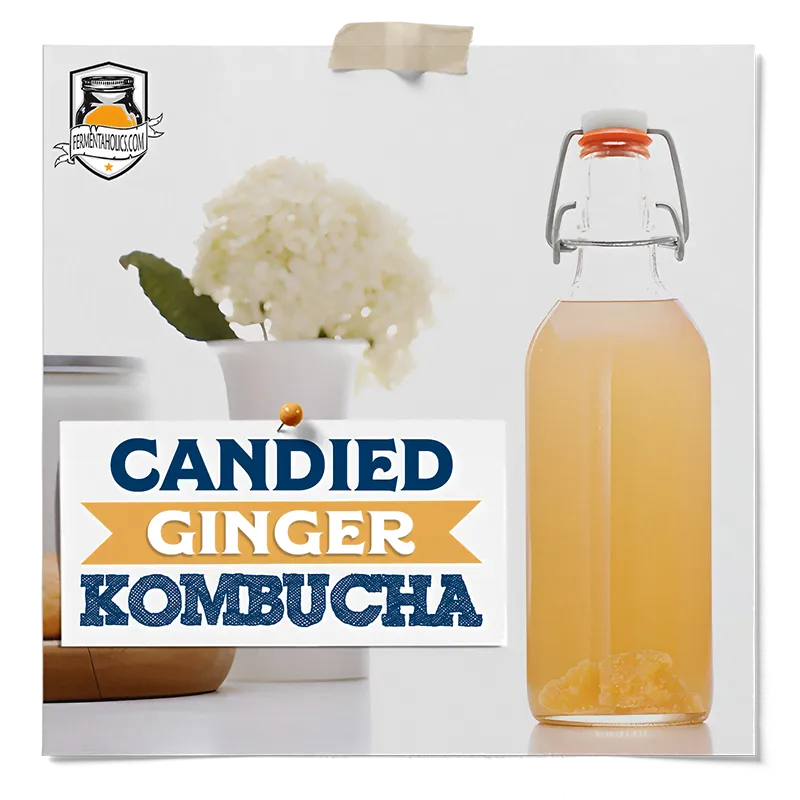 Candied Ginger Kombucha Recipe