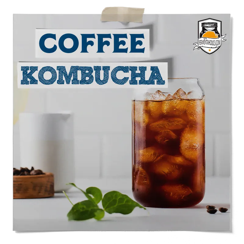 Coffee Kombucha Recipe