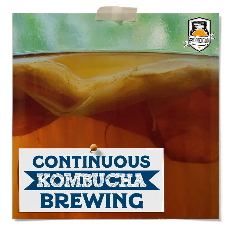 Continuous Kombucha Brewing