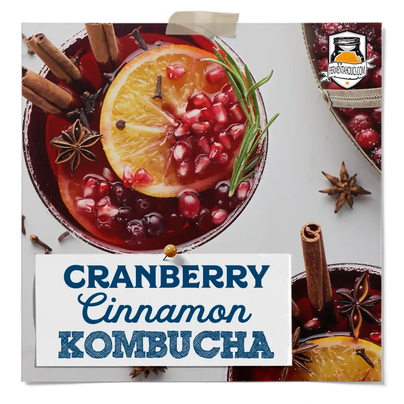 Cranberry Cinnamon Kombucha Recipe