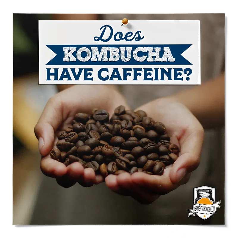 Does Kombucha Have Caffeine