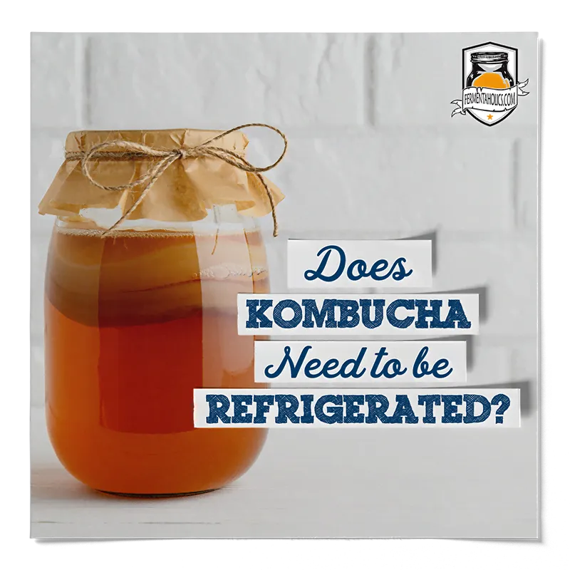 Does Kombucha Need to be Refrigerated