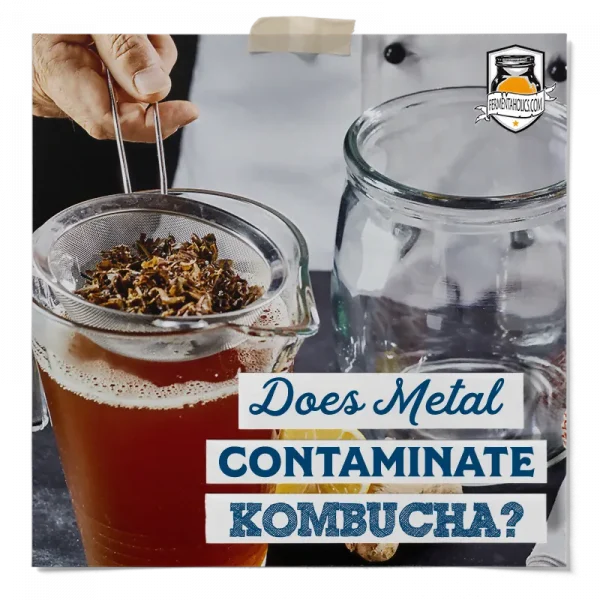 Does Metal Contaminate Kombucha