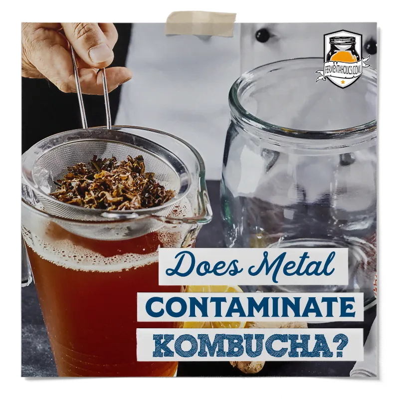 Does Metal Contaminate Kombucha