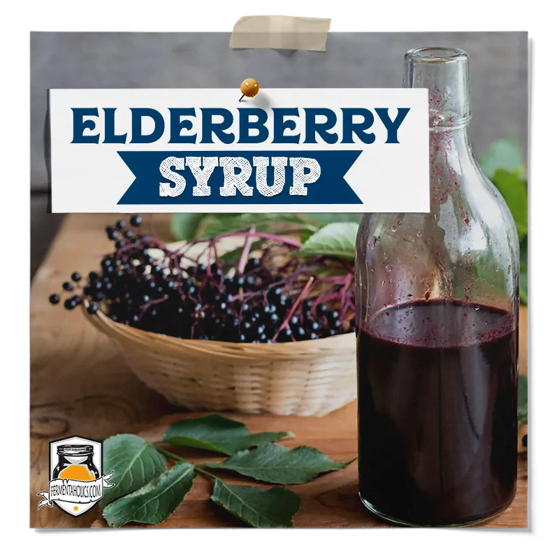 Elderberry Syrup Recipe