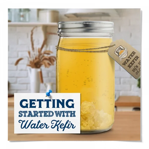 Fermentaholics Water Kefir All You Need To Know