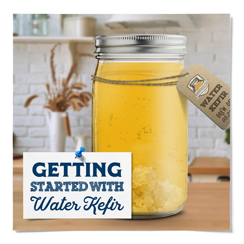 Fermentaholics Water Kefir All You Need To Know