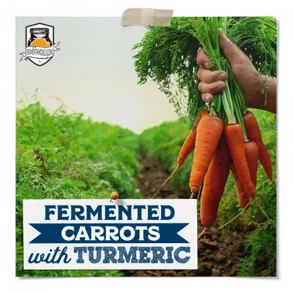 Fermented Carrots With Turmeric