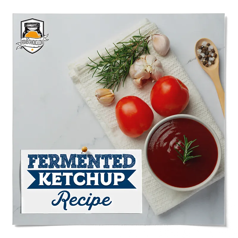 Fermented Ketchup Recipe
