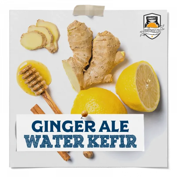 Ginger Ale Water Kefir