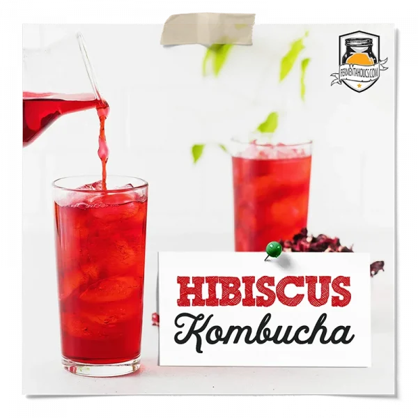 Hibiscus Kombucha