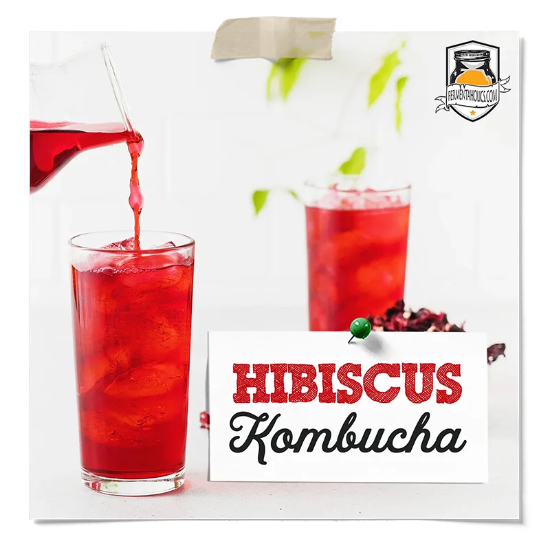 Hibiscus Kombucha