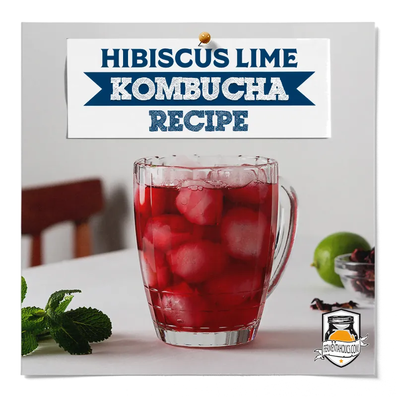 Hibiscus Lime Kombucha Recipe