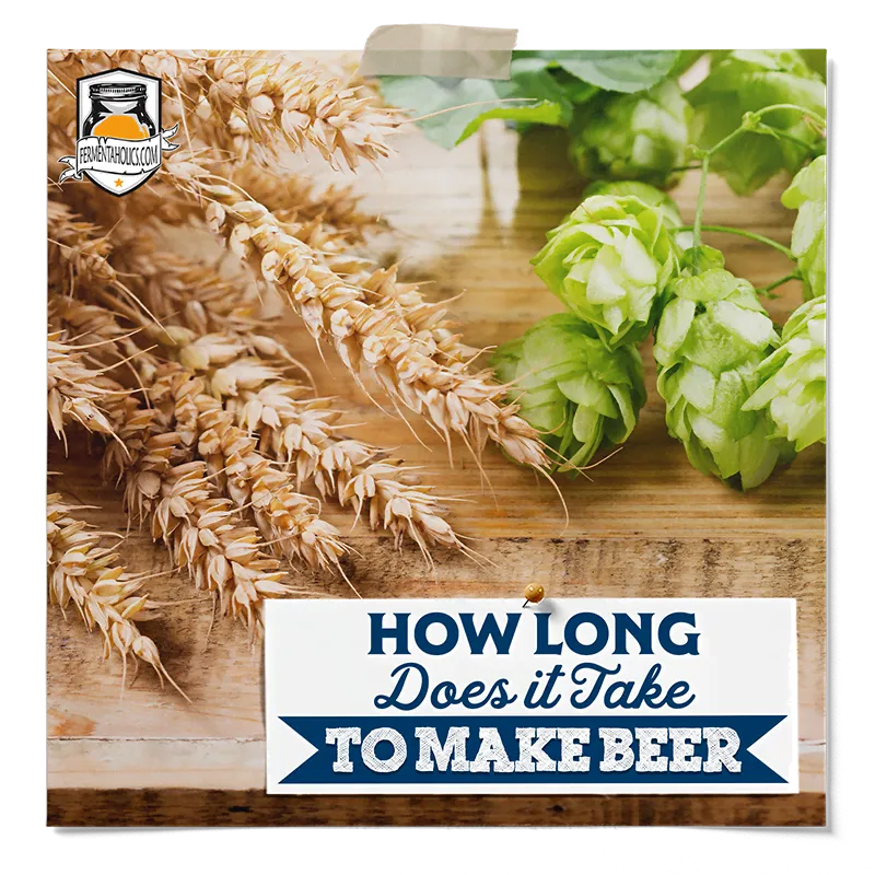 How Long Does it Take to Make Beer
