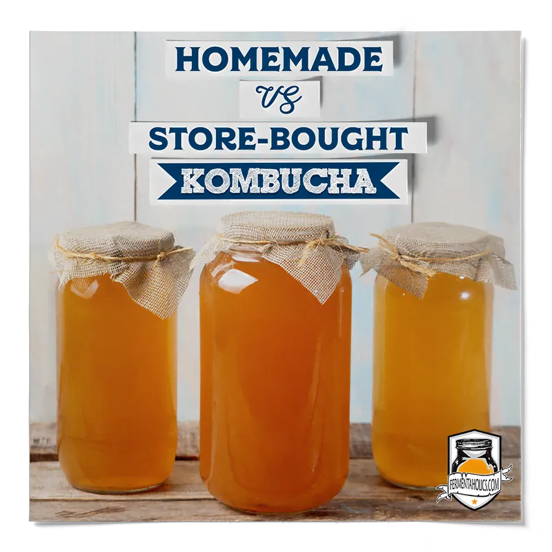 How Much Does Kombucha Cost
