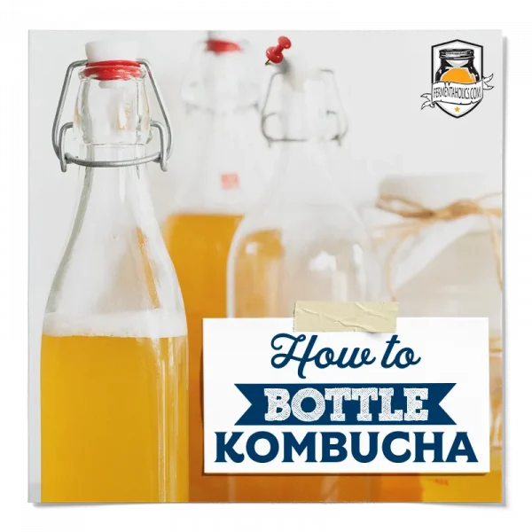 How To Bottle Your Kombucha