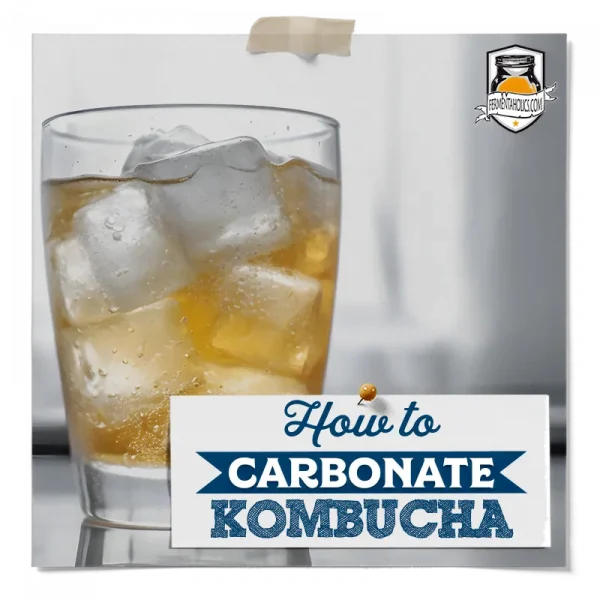 How To Carbonate Kombucha