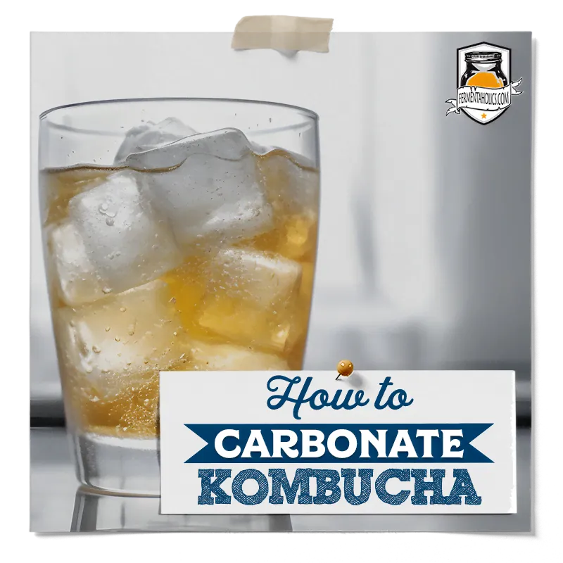 How to Carbonate Kombucha
