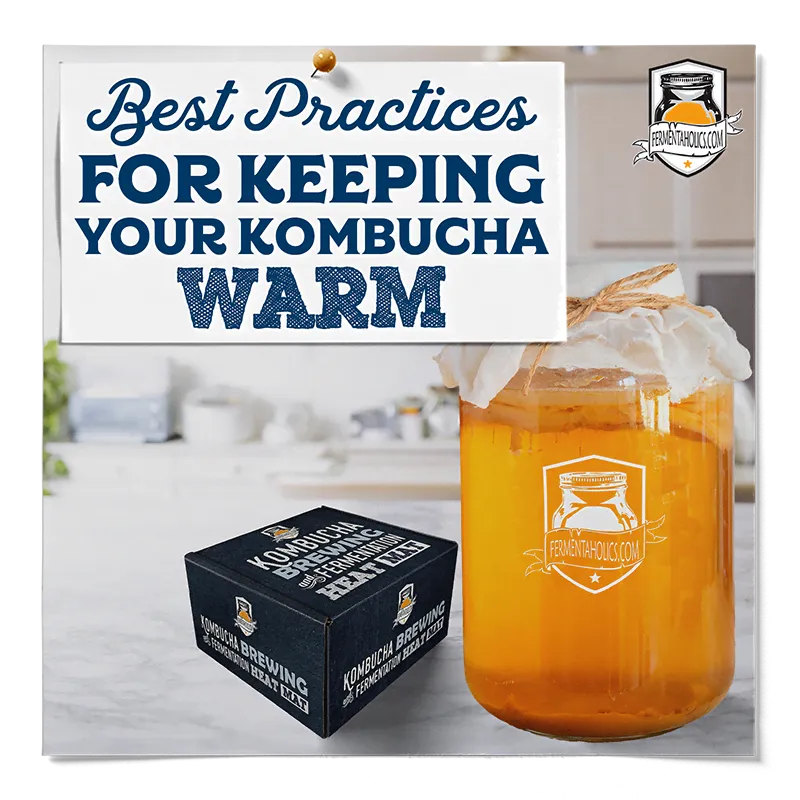 How to Keep Kombucha Warm
