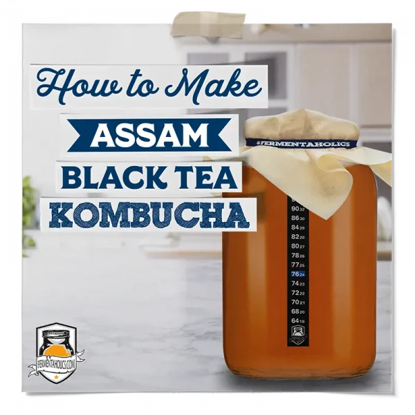 How To Make Assam Black Tea Kombucha