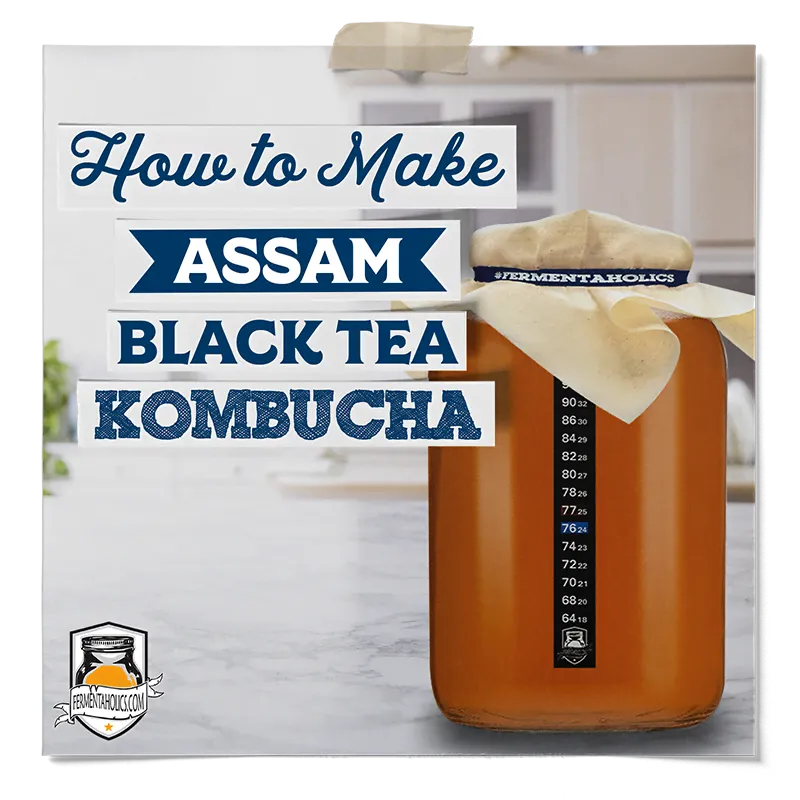 How to Make Assam Black Tea Kombucha