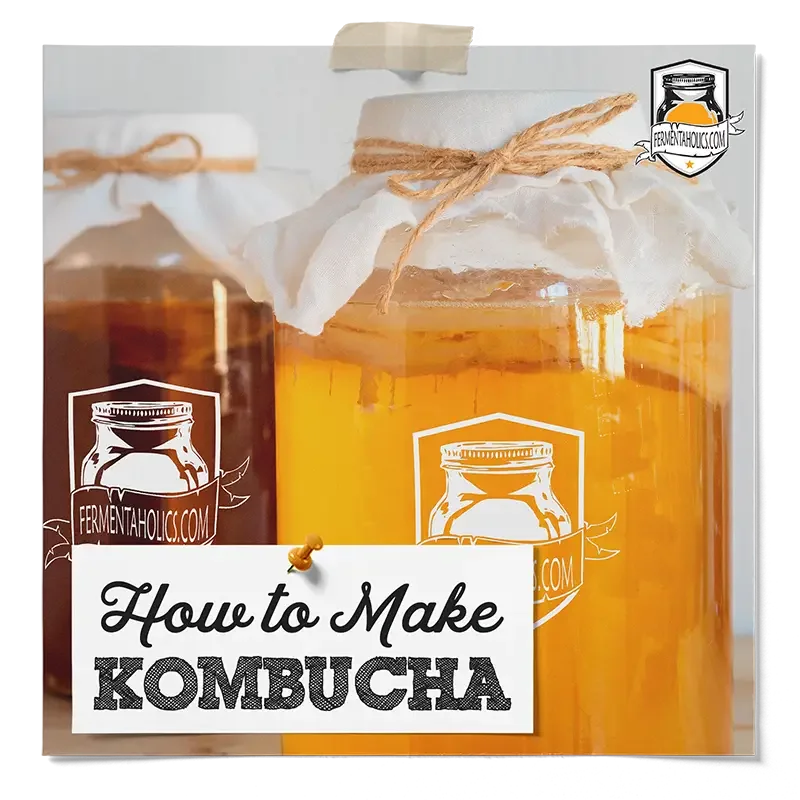 How To Make Kombucha