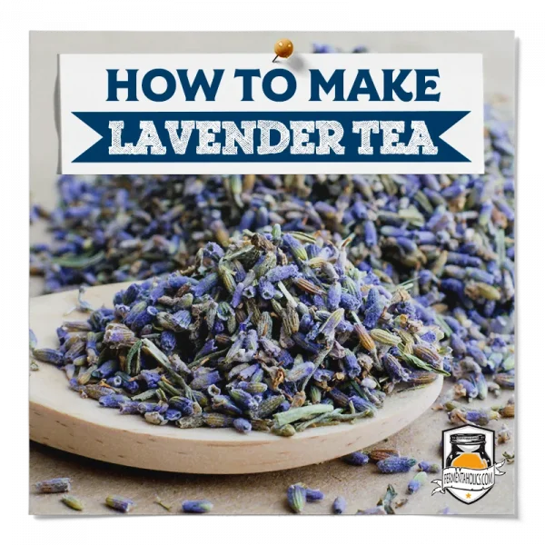 How To Make Lavender Tea
