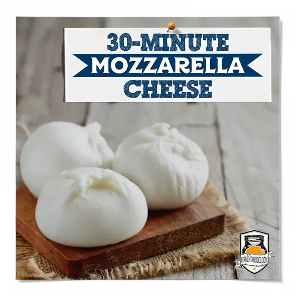 How To Make Mozzarella Cheese