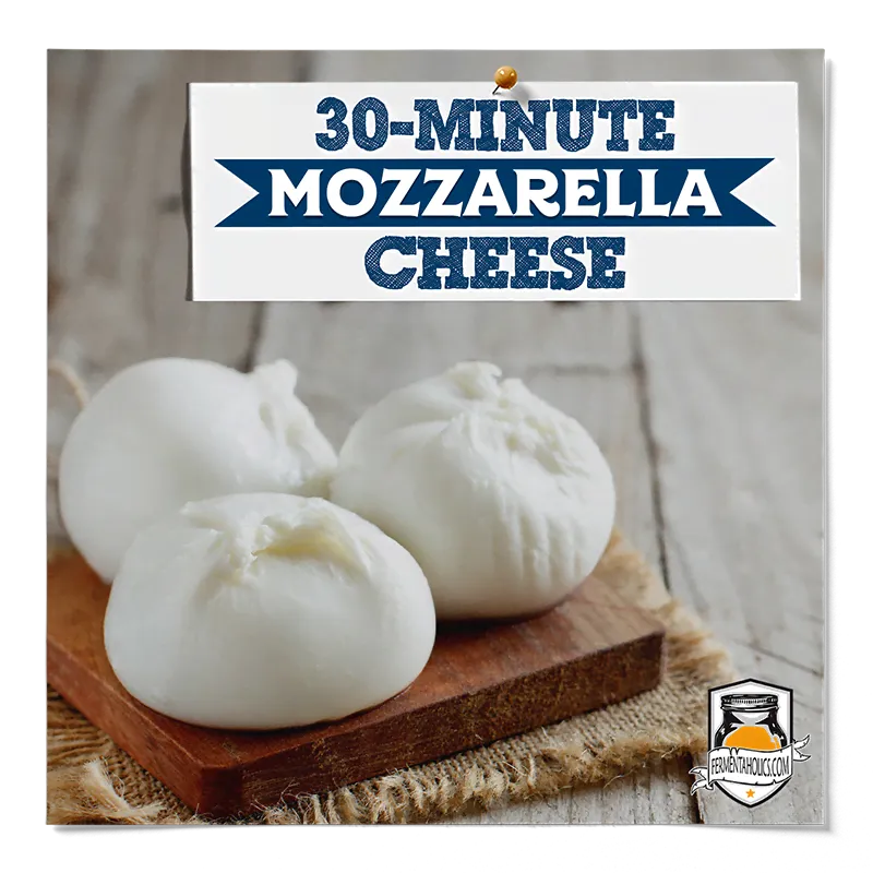 How to Make Mozzarella Cheese