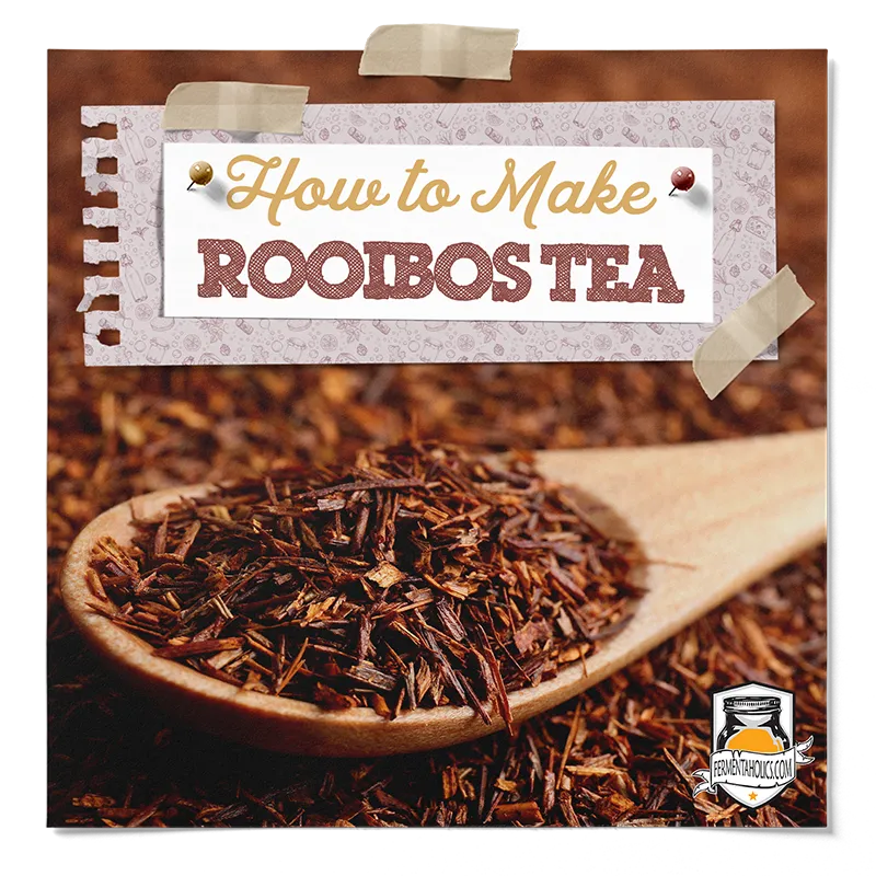 How to Make Rooibos Tea