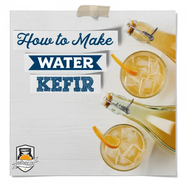 How To Make Water Kefir