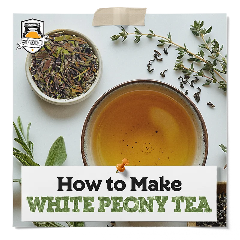 How to Make White Peony Tea