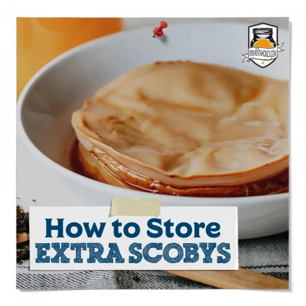 How To Store Extra Scobys